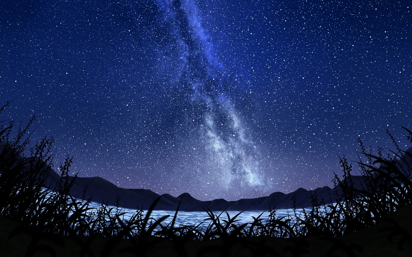 明亮夜空银河繁星星光照耀芦苇湖泊大屏高清1440x900桌面壁纸