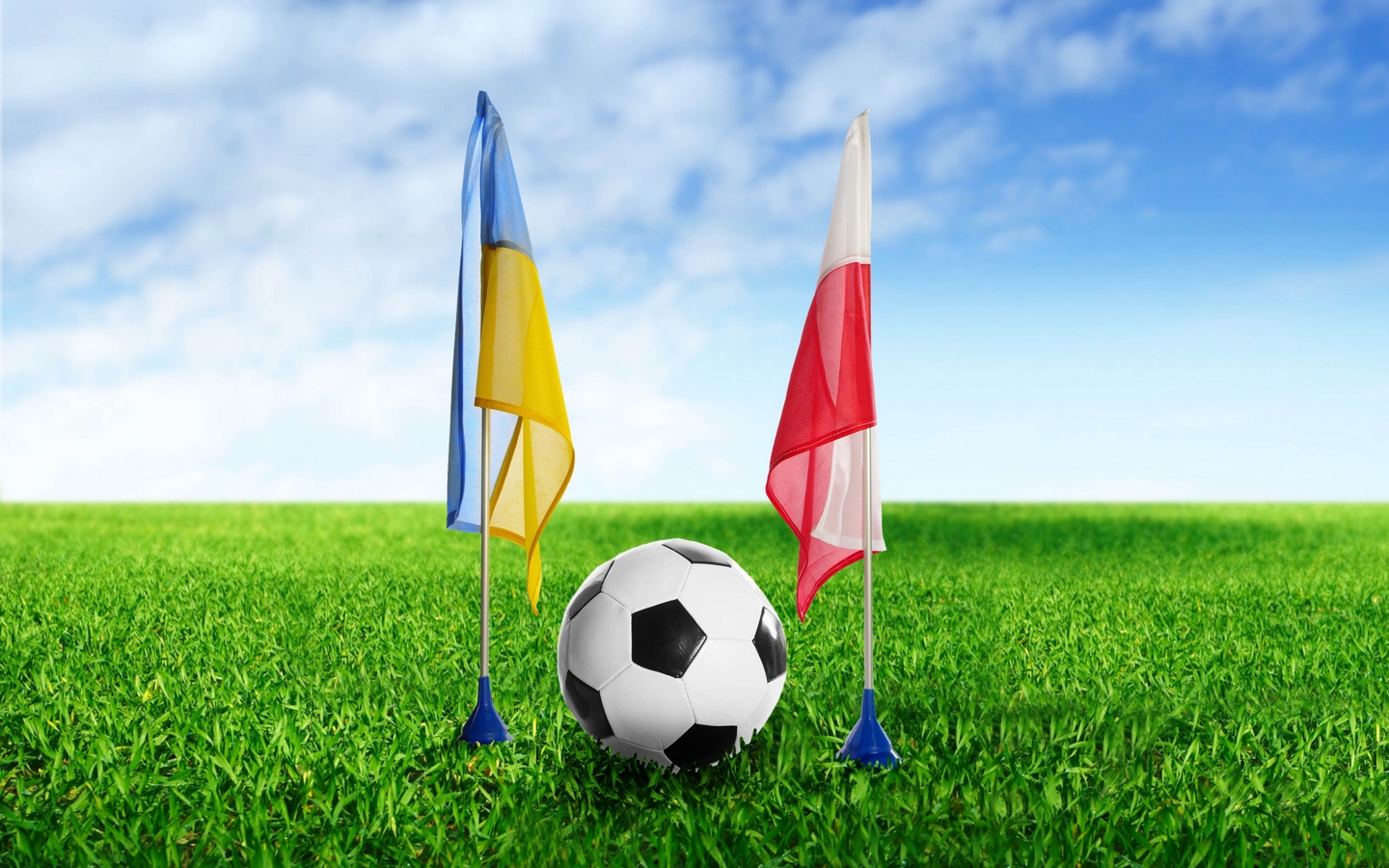 3D足球两面旗子特写大屏高清1440x900桌面壁纸