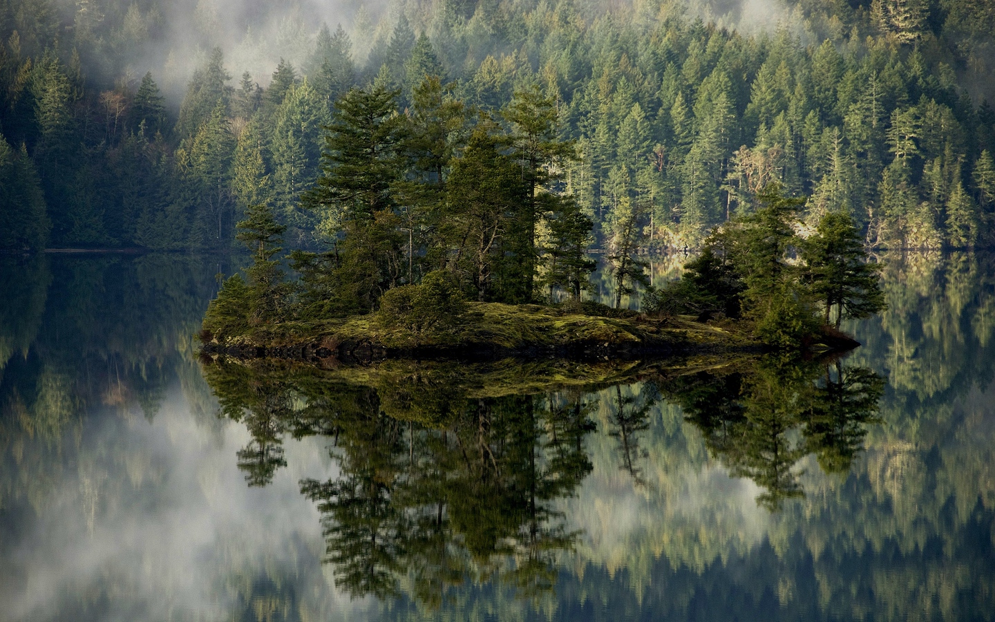 湖中小岛大自然森林唯美大屏高清1440x900桌面壁纸